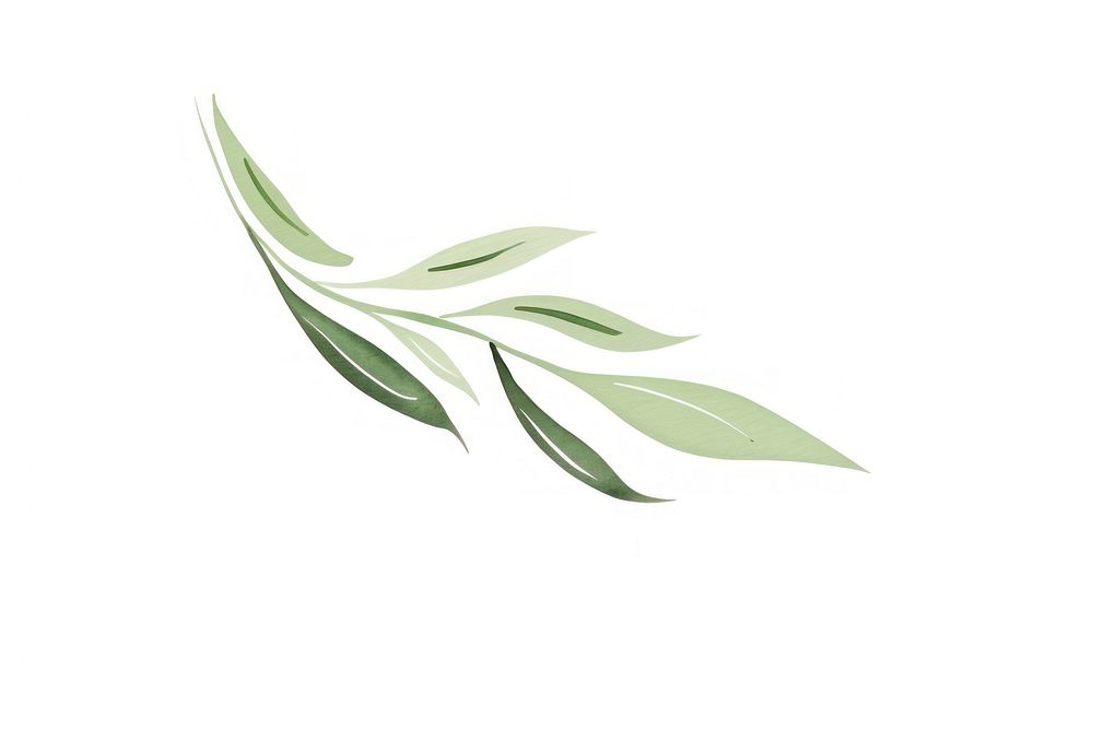 An olive leaf plant graphics pattern.