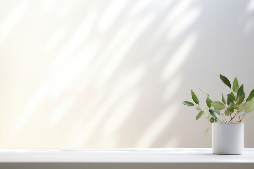 Minimalistic light background windowsill plant white.