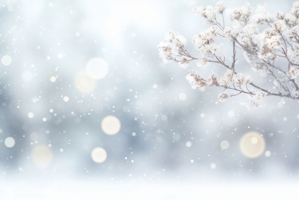 White snowy background backgrounds snowflake blizzard.