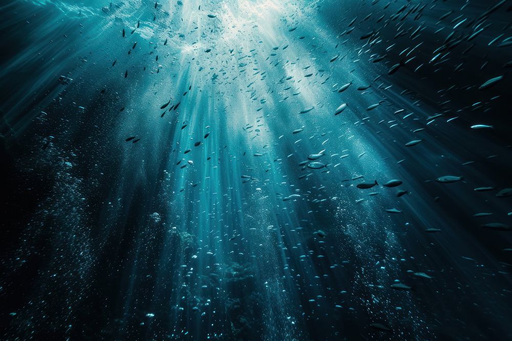 The deepest zone of the ocean underwater nature sea.