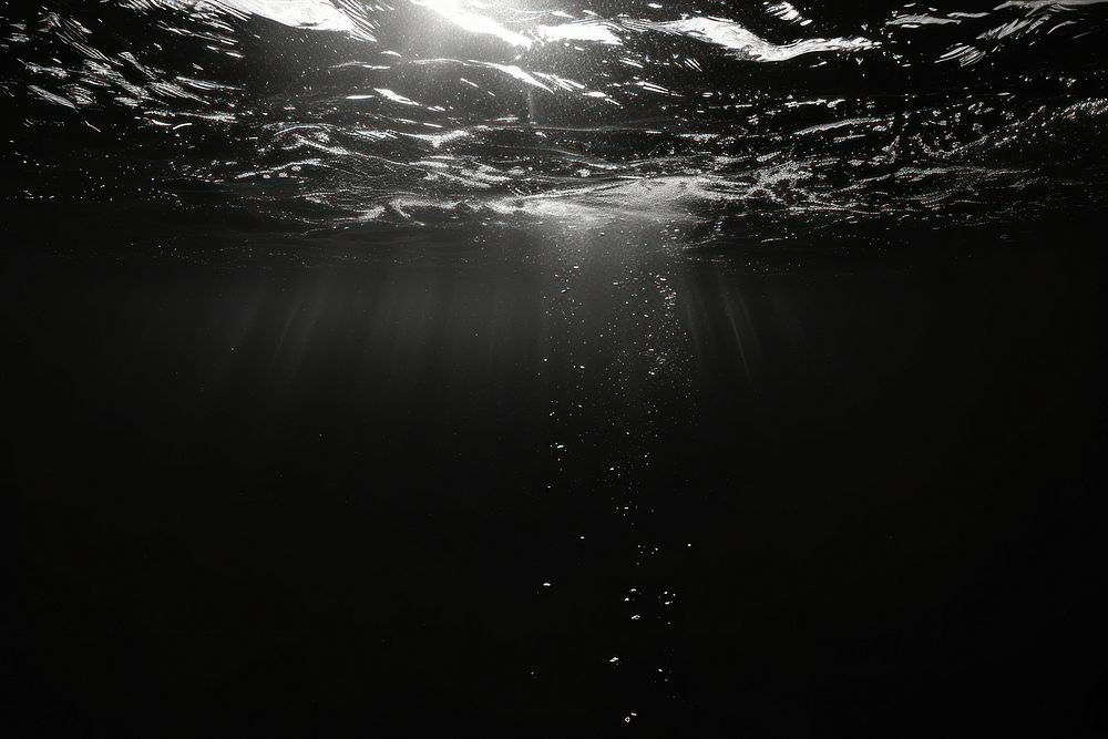 Underwater underwater ocean outdoors.