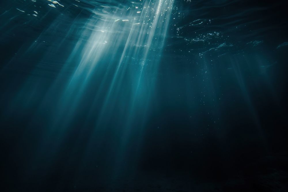 Underwater underwater nature ocean.