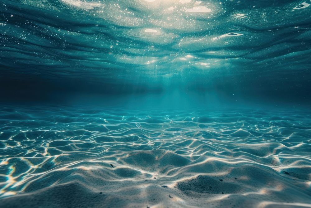 Underwater Sea underwater outdoors nature.