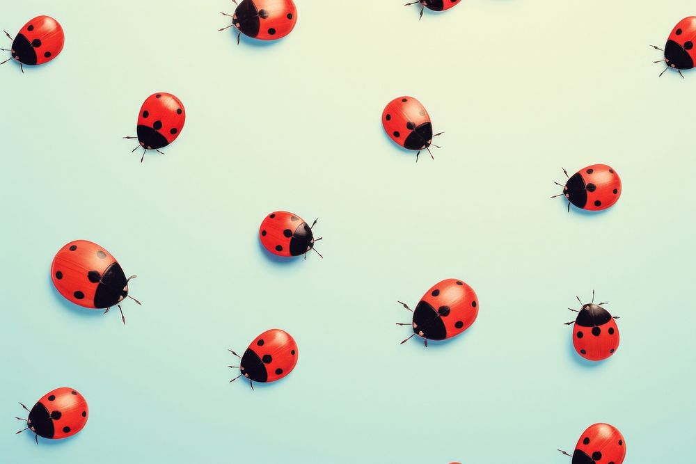 Ladybugs cute pattern outdoors animal insect.