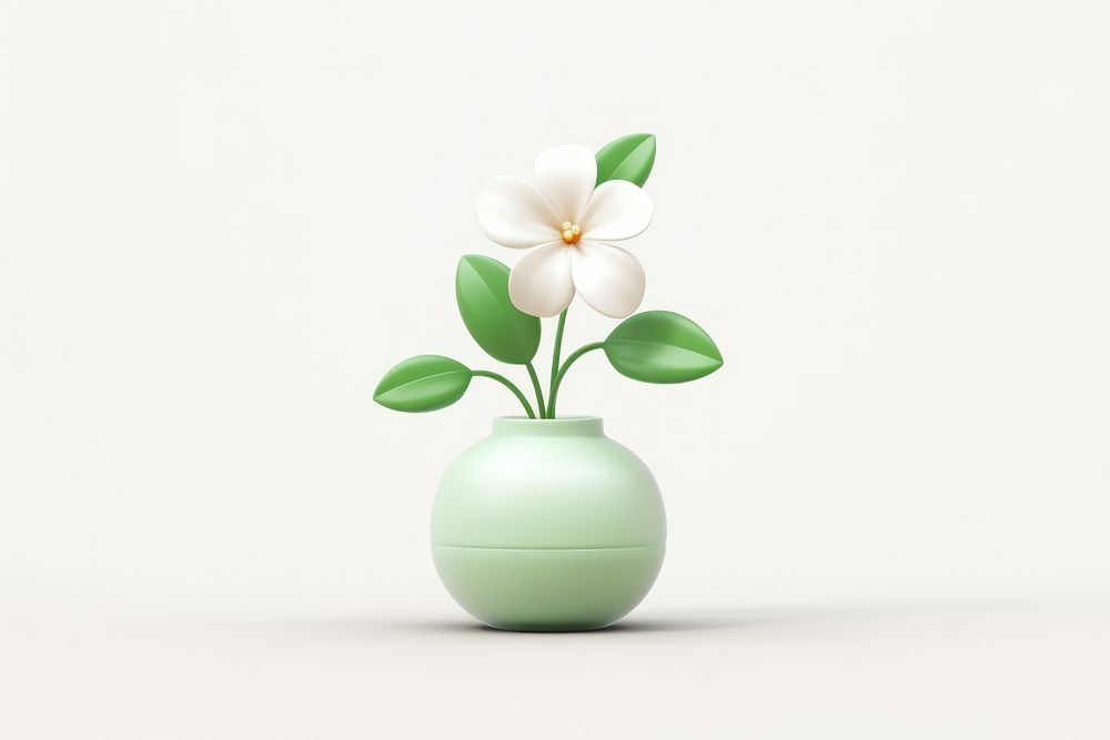Jasmine flower plant vase inflorescence.