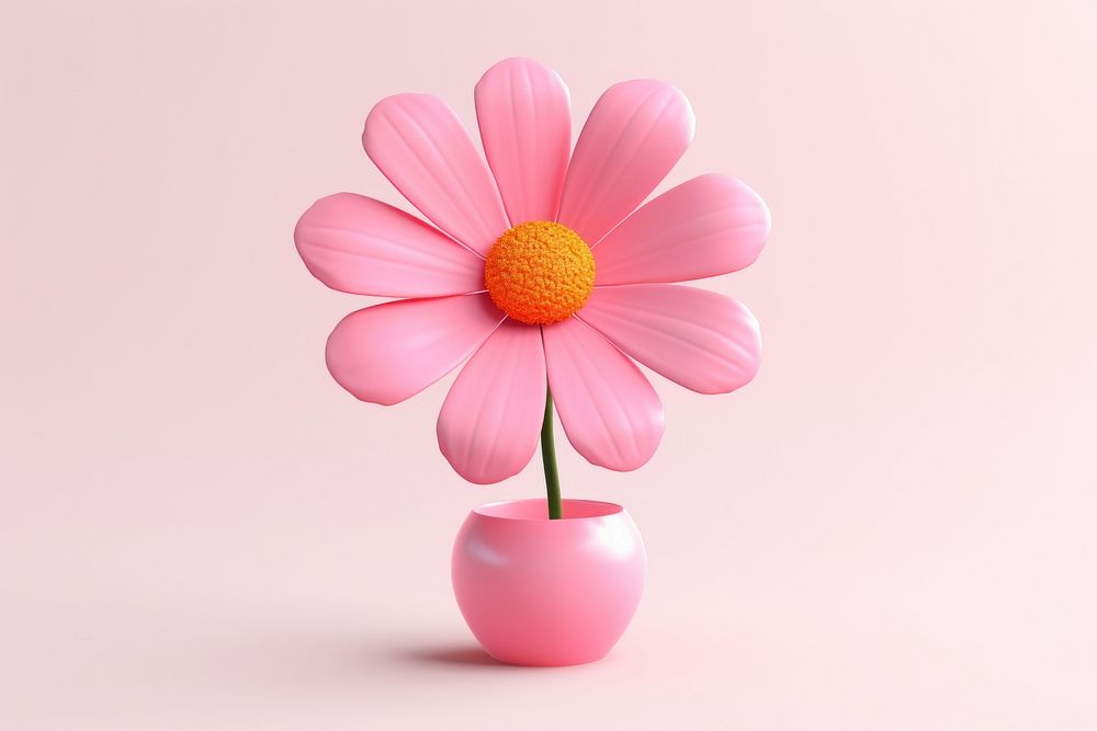 Pink flower petal plant daisy.