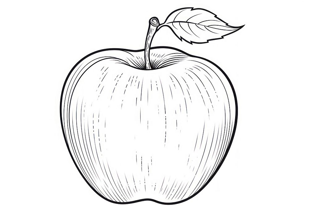 Apple sketch apple drawing.