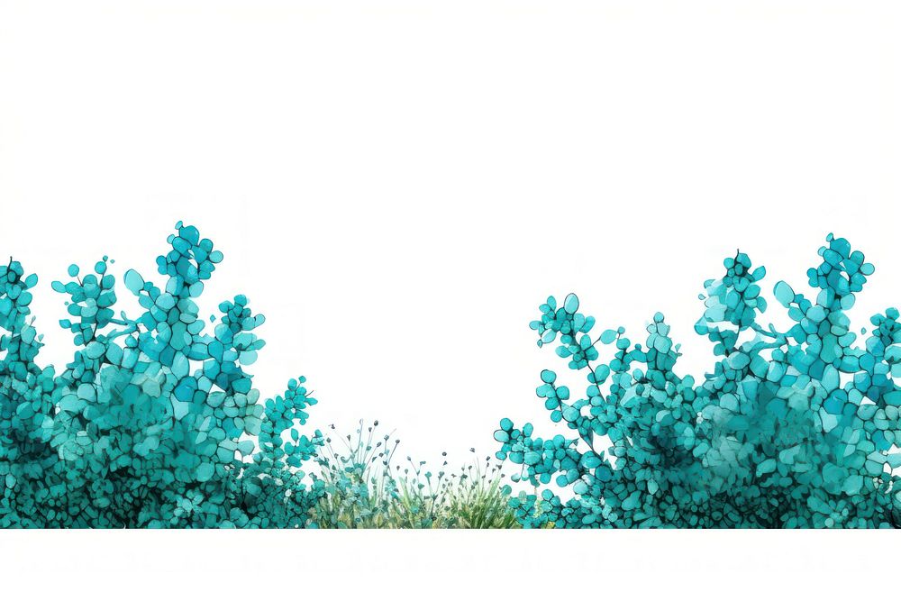 Backgrounds turquoise outdoors nature.