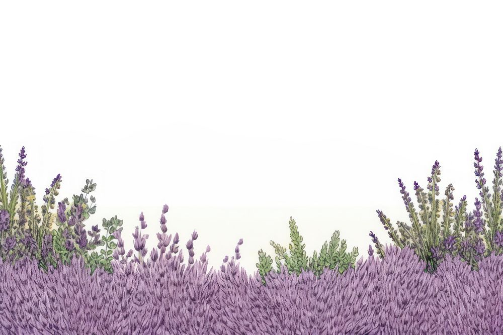 Lavender backgrounds landscape blossom.