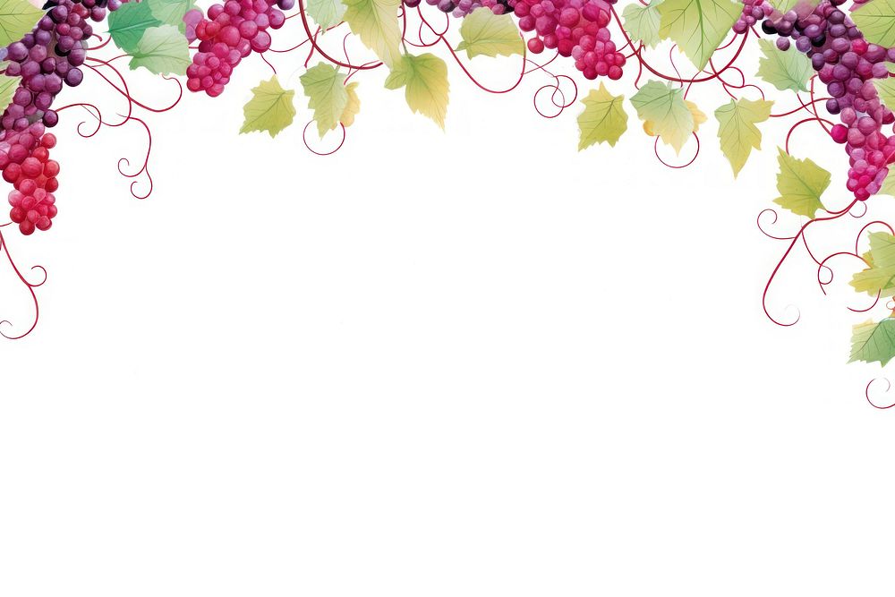 Vine backgrounds grapes plant.