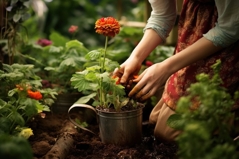 Woman gardening outdoors nature plant.