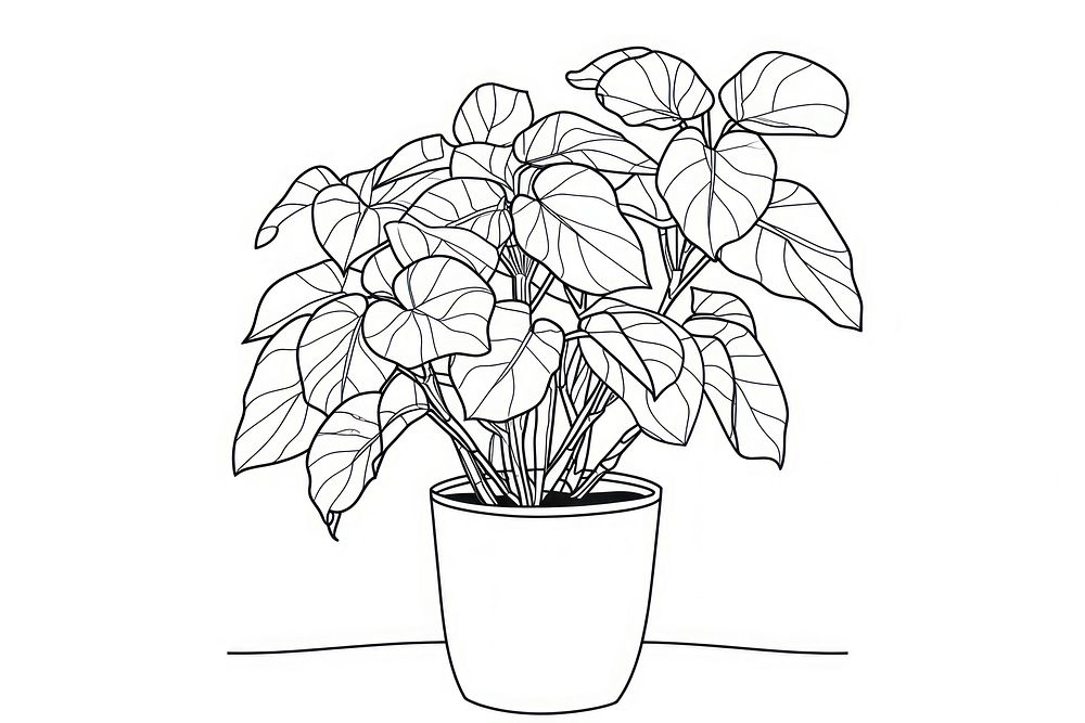 Minimal line houseplant drawing sketch doodle.