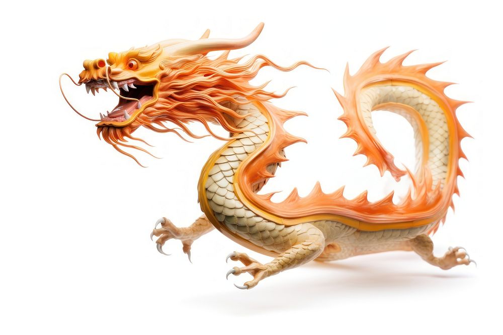 Chinese dragon animal white background representation.