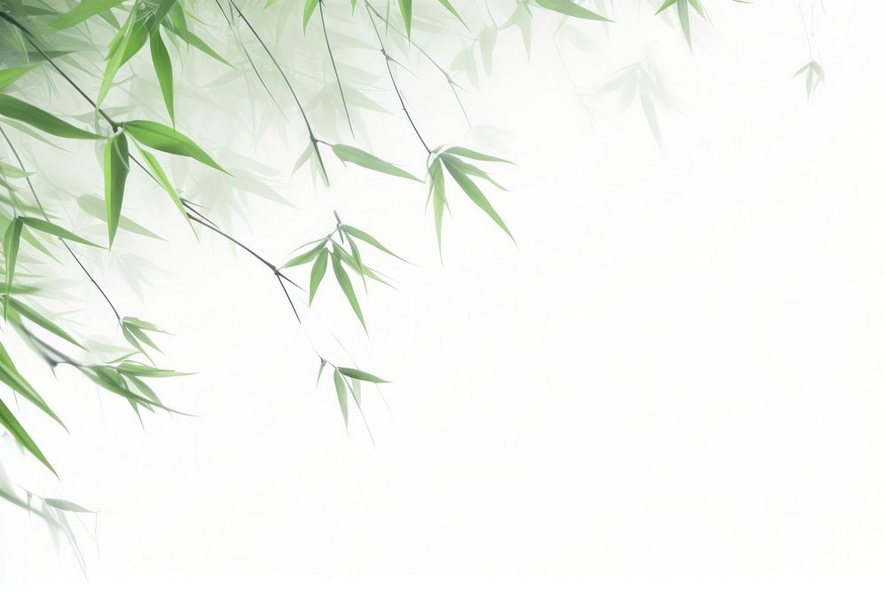 Bamboo trees backgrounds plant green.