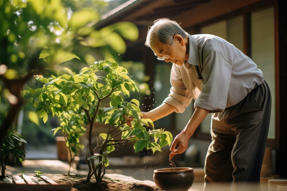 Elderly japanese man watering plant garden gardening outdoors.
