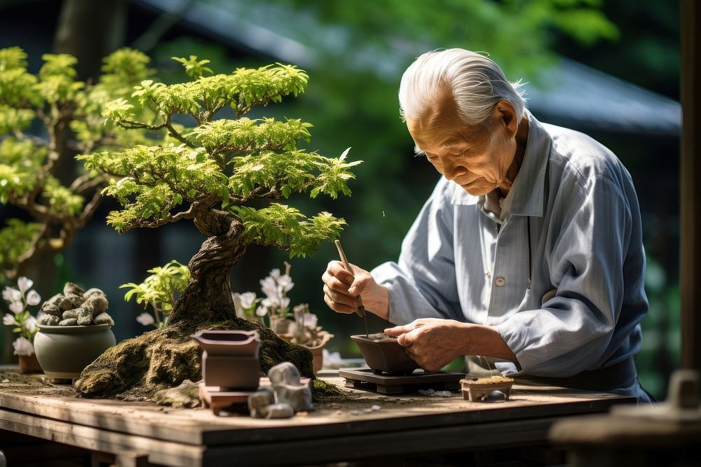 Elderly japanese man trimming bonsai garden outdoors nature.