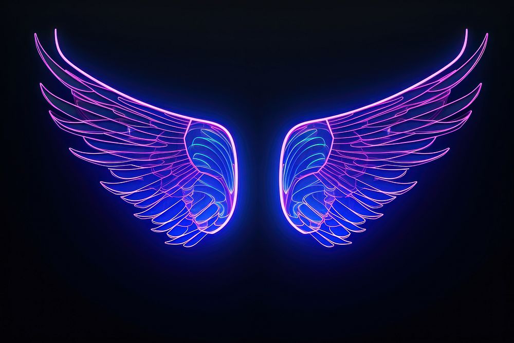 Neon wings wireframe light neon night.