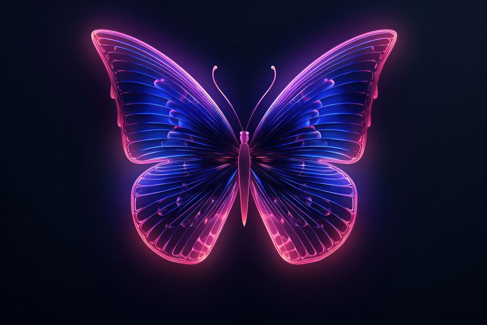 Neon butterfly wireframe light neon animal.