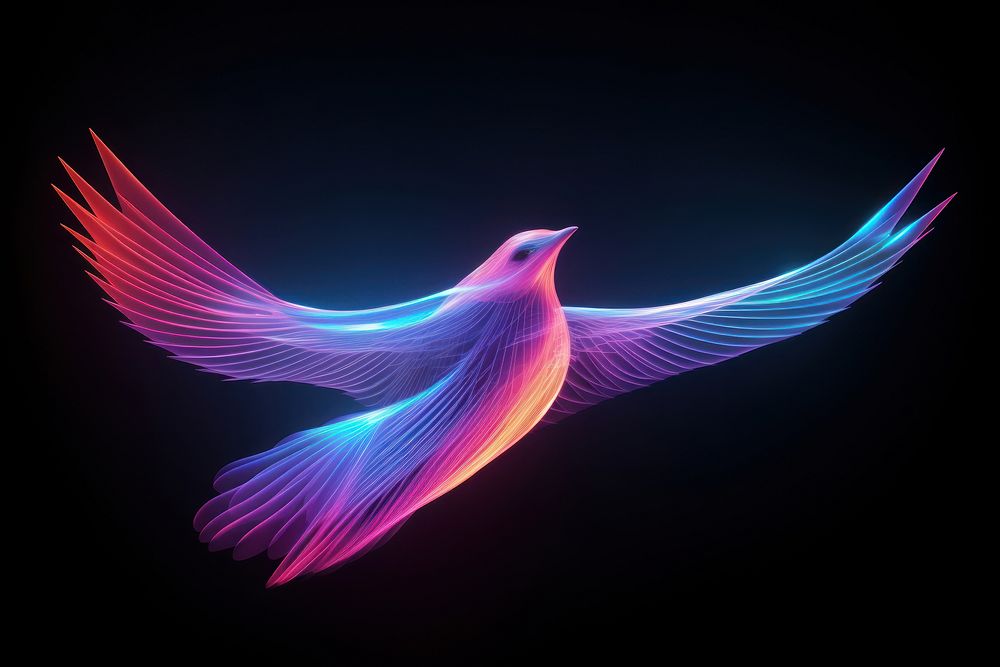 Neon dove flying wireframe light animal purple.