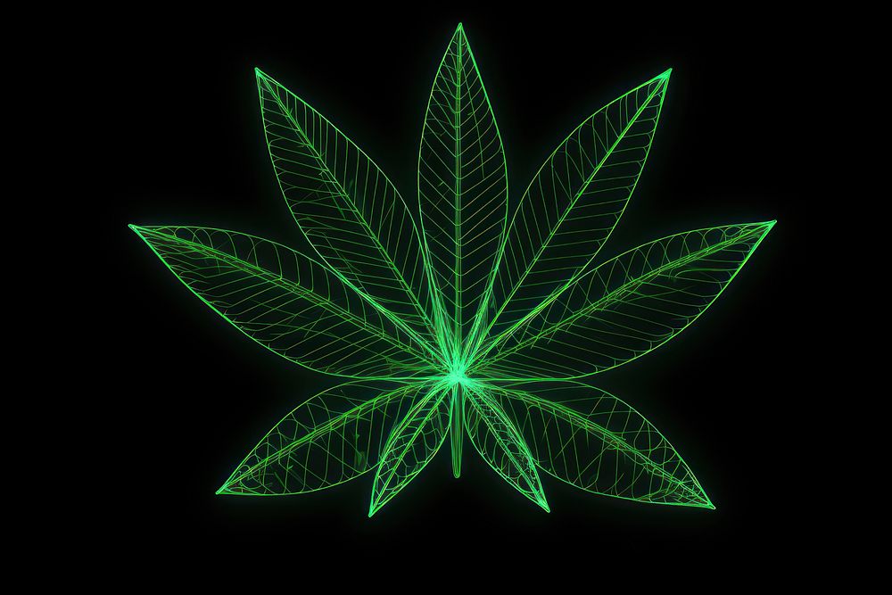 Neon marijuana wireframe light pattern plant.