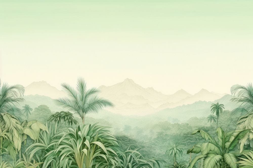 Palm tree jungle in morning landscape green backgrounds.