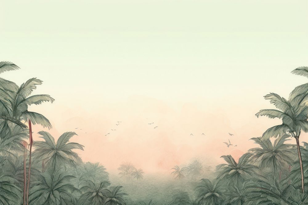 Palm tree jungle in morning land backgrounds landscape.