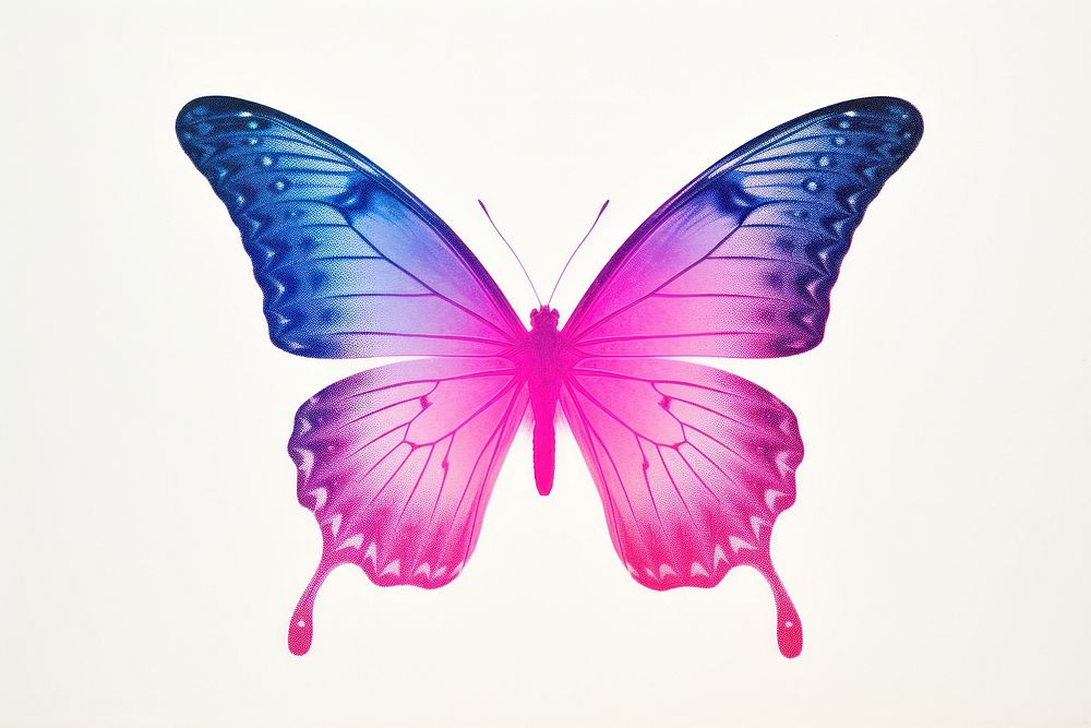 Butterfly silkscreen animal insect purple.