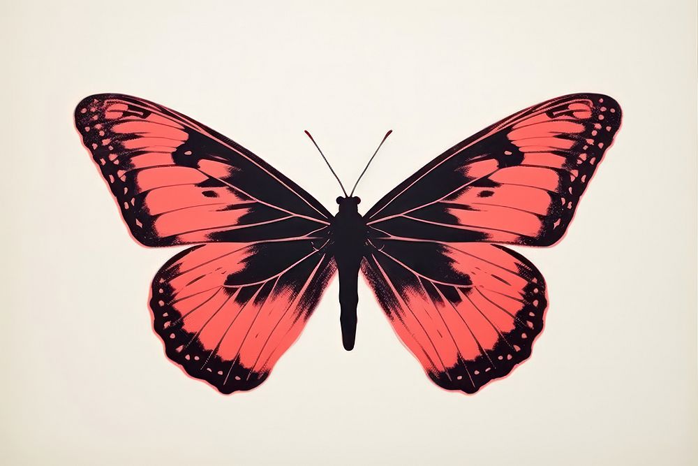 Butterfly animal insect red.
