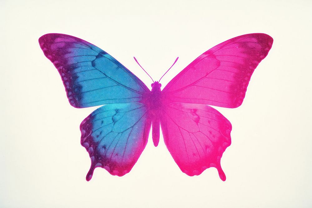 Butterfly silkscreen animal insect violet.