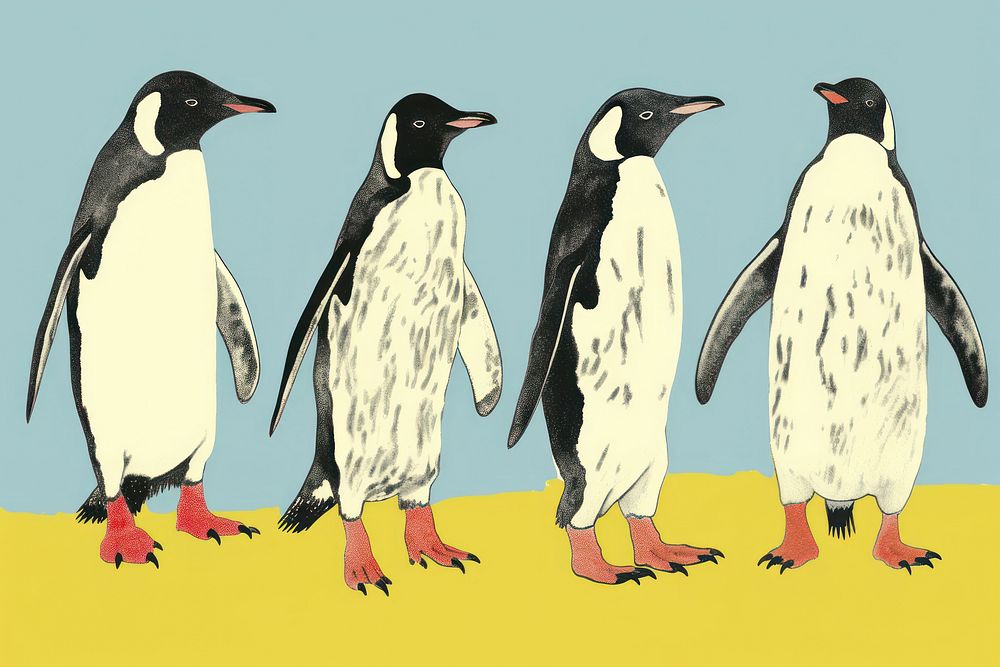 Penguins animal bird wildlife.