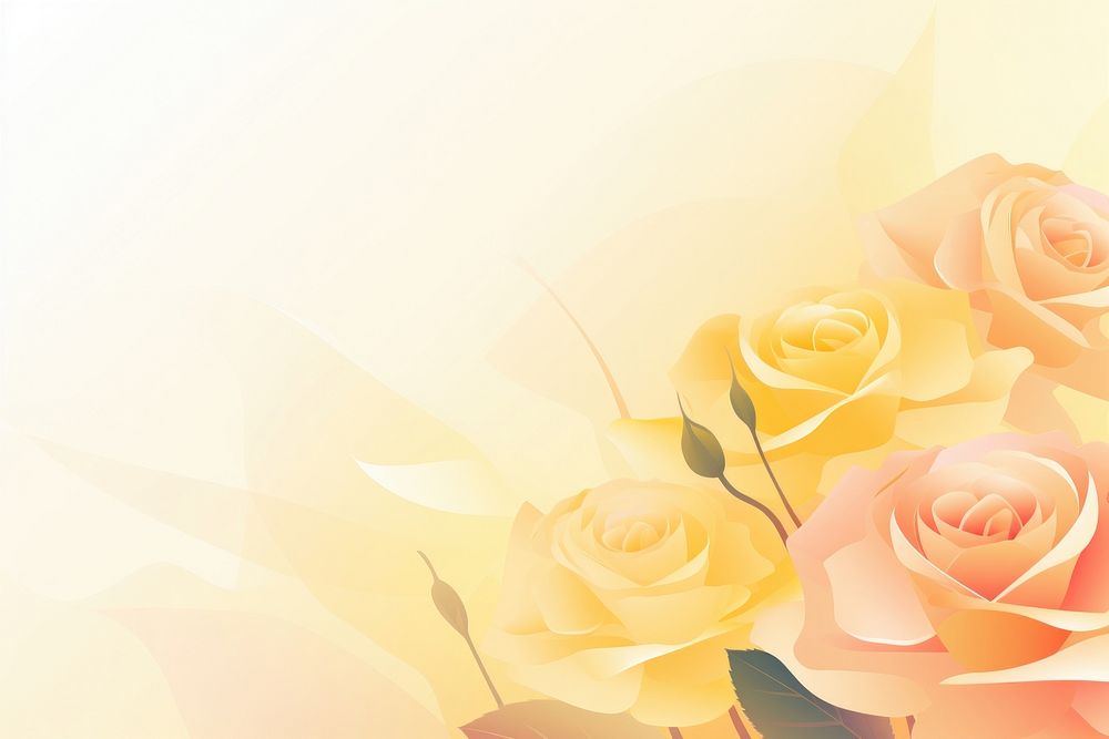 Yellow rose backgrounds pattern flower.