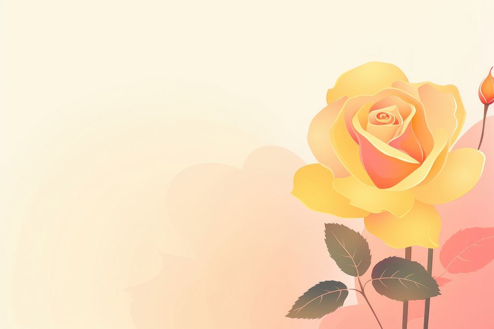 Yellow rose backgrounds flower plant.