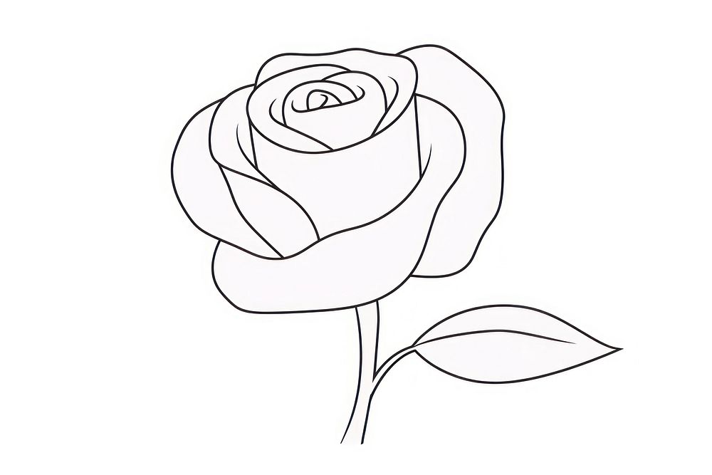 Rose drawing cartoon sketch.
