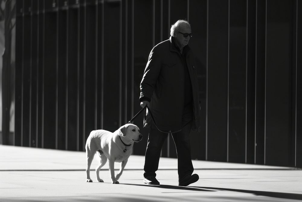 A blind man with guide dog glasses walking animal.