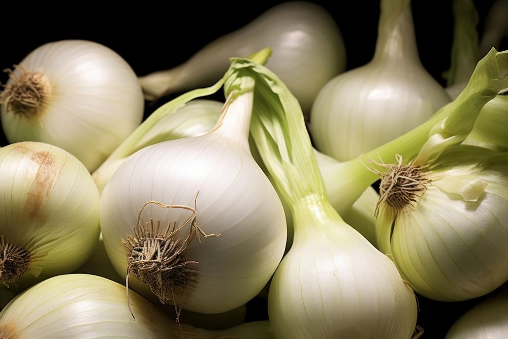 Organic onions vegetable plant food.