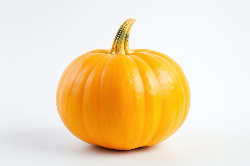 Lose-up organic pumpkin vegetable plant food.