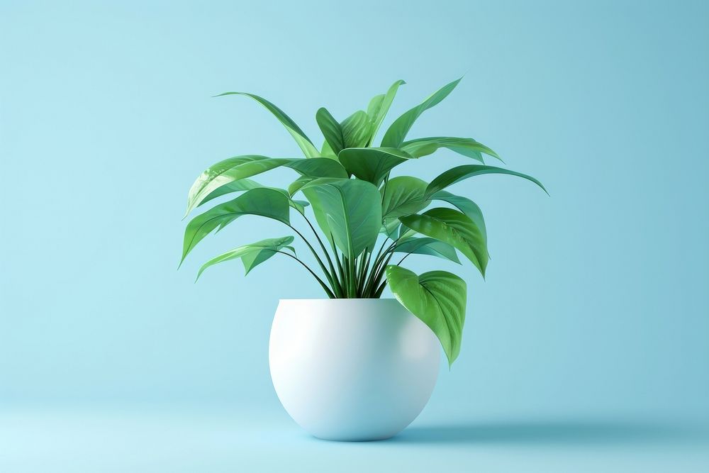 Indoor plant leaf vase houseplant.