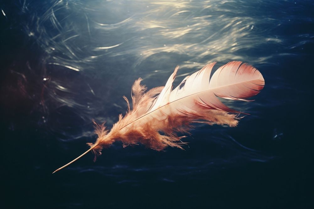 Feather falling lightweight accessories reflection.