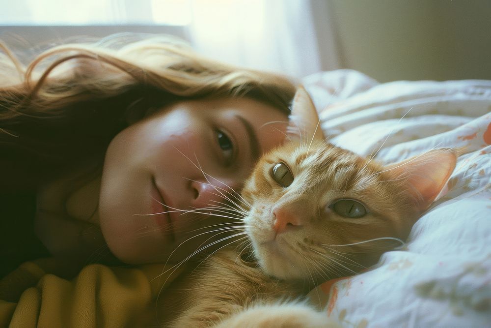 Person selfie with cat portrait bedroom animal.