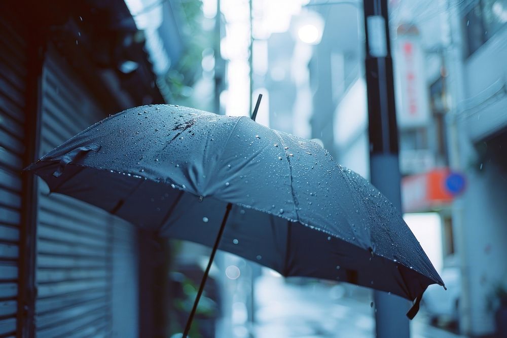 Umbrella rain architecture protection.