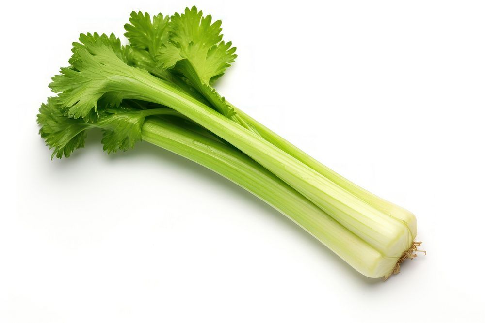 Celery plant herbs food.
