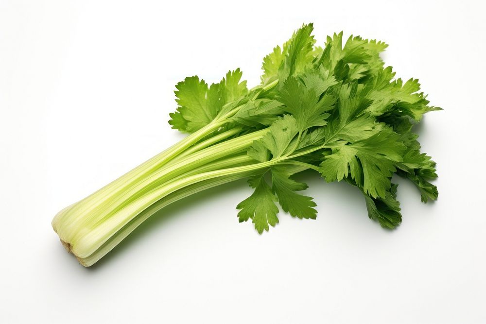 Celery parsley plant herbs.