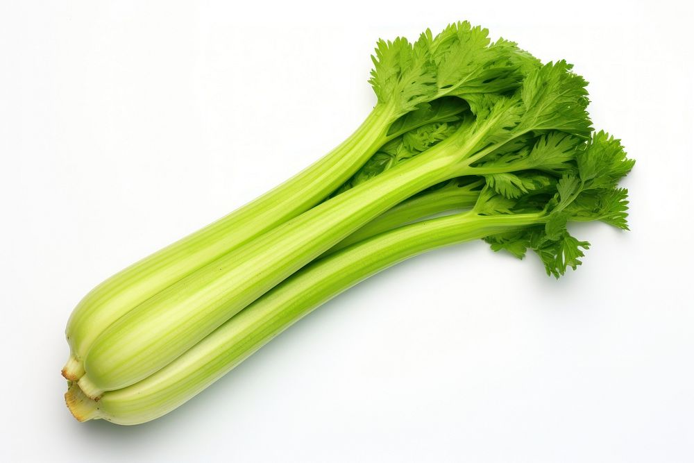 Big Celery vegetable plant herbs.