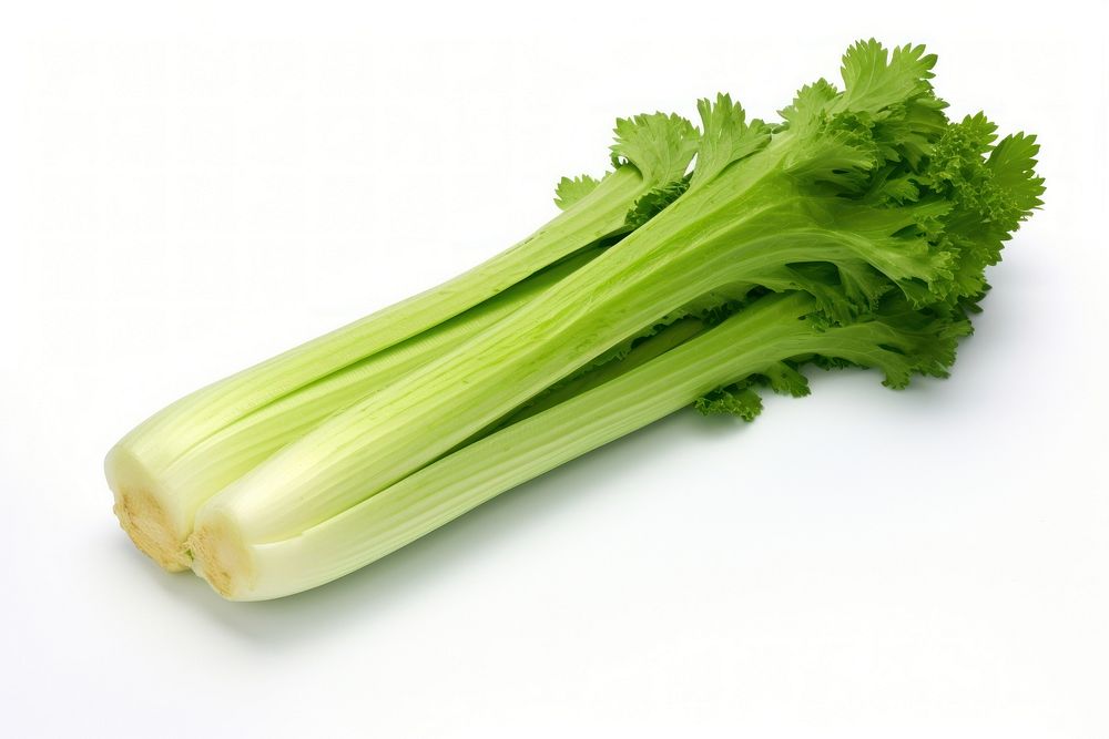 Big Celery vegetable plant herbs.