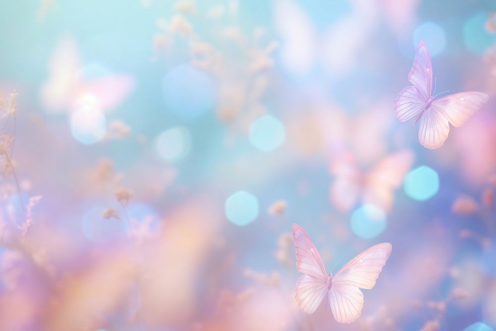 Butterfly bokeh effect background backgrounds outdoors nature.