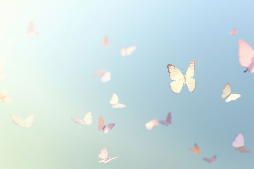 Butterfly bokeh effect outdoors animal nature.