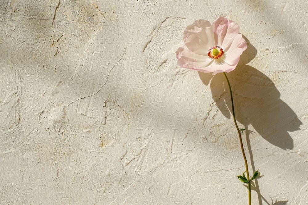 Hint of flower wall architecture backgrounds.