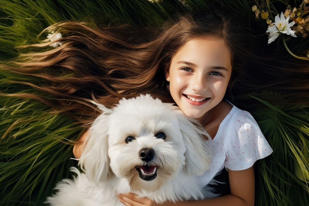 Girl and maltese dog lie on the grass portrait mammal animal.
