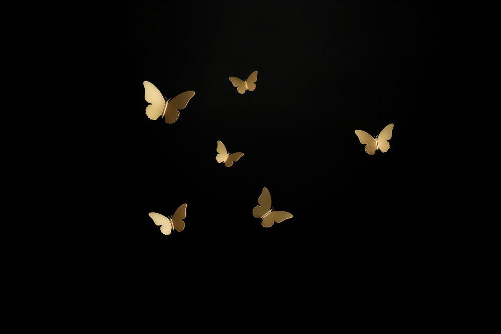 Gold butterflies wildlife animal nature.