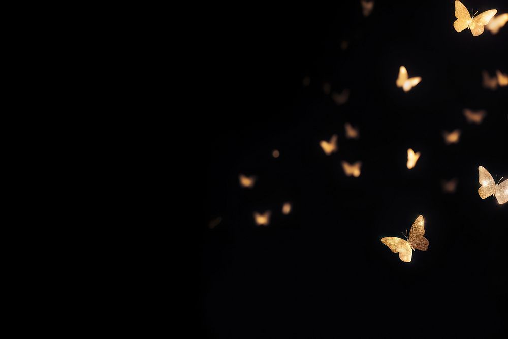 Gold butterflies outdoors nature light.